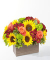 Image of Premium version for Happy Harvest Garden