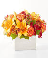 Image of Premium version for Backyard Bonfire Bouquet