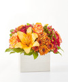 Image of Standard version for Backyard Bonfire Bouquet
