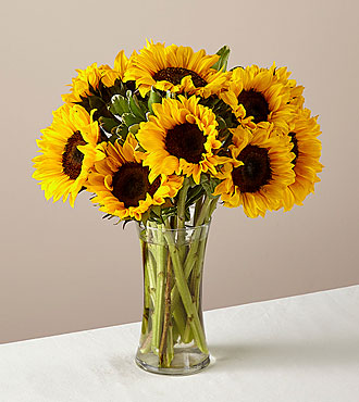 12 Stem Honey Bee Sunflower in Glass Vase - FedEx - FB68