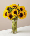 Image of Standard version for 12 Stem Honey Bee Sunflower in Glass Vase - FedEx