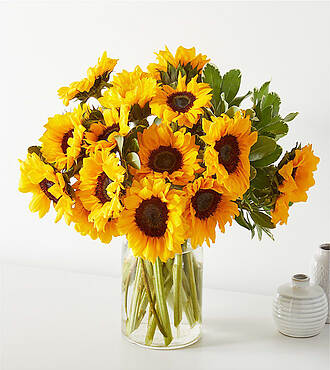 Shimmering Sunflower Bouquet - 15 Stems with Vase - FedEx - FB69-X