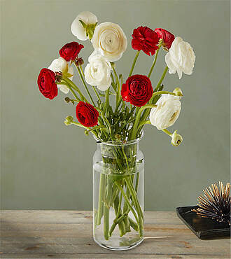 Gloria Ranunculus - FedEx
