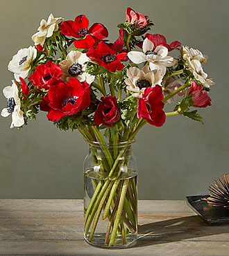 Peppermint Twist Anemone Bouquet - FedEx