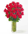 Image of Standard version for Two Dozen Red Roses - FedEx