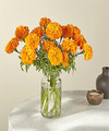 Image of Standard version for Ms. Marigold Bouquet - FedEx