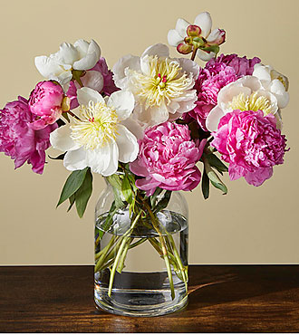 Fresh Peony Bouquet - FedEx