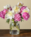 Image of Standard version for Fresh Peony Bouquet - FedEx