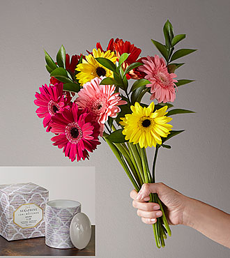 Sunkissed Gerbera and L'or de Seraphine Mother's Day Bundle - FedEx