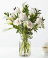Image of Standard version for Vision in Ivory Rose and Calla Lily Bouquet - Premium with Vase - FedEx
