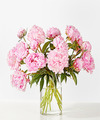 Image of Deluxe version for Fresh Peony Bouquet - Standard with Vase - FedEx