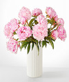 Image of Standard version for Fresh Peony Bouquet - Deluxe with Ceramic Vase - FedEx