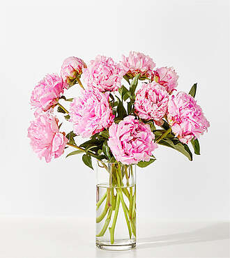 Fresh Peony Bouquet - Standard with Vase - FedEx