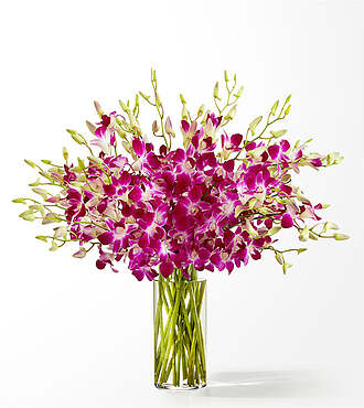Positively Purple Orchid Bouquet - FedEx - FS209