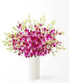 Image of Standard version for Positively Purple Orchid Bouquet - Deluxe with White Fluted Vase - FedEx