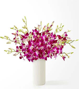 Positively Purple Orchid Bouquet - Standard with White Fluted Vase - FedEx - FS209WF