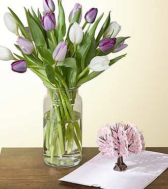Royal Tulip and Lovepop Mother's Day Bundle - FedEx