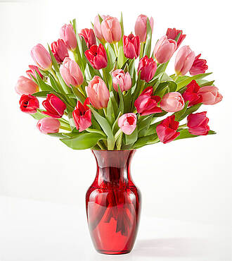 Crushing on You Tulip Bouquet - Deluxe with Red Vase - FedEx - FV200D-R