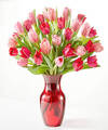 Image of Standard version for Crushing on You Tulip Bouquet - Deluxe with Red Vase - FedEx