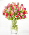 Image of Deluxe version for Crushing on You Tulip Bouquet - Standard with Clear Vase - FedEx