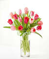 Image of Standard version for Crushing on You Tulip Bouquet - Standard with Clear Vase - FedEx