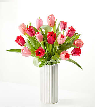 Crushing on You Tulip Bouquet - Standard with White Fluted Vase - FedEx - FV200WF