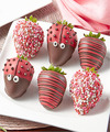 Image of Standard version for Cutie Bug Belgian Chocolate Covered Strawberries - 6pc - FedEx