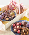 Image of Standard version for Mom Springtime Belgian Chocolate - Covered Sweets - FedEx