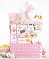 Image of Standard version for Welcome Baby Gift Basket - Pink - FedEx
