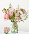Image of Deluxe version for Mother Knows Best Gift Sets