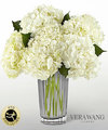 Image of Deluxe version for FTD Ivory Hydrangea Bouquet by Vera Wang