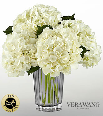 FTD Ivory Hydrangea Bouquet by Vera Wang