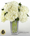 Image of Premium version for FTD Ivory Hydrangea Bouquet by Vera Wang