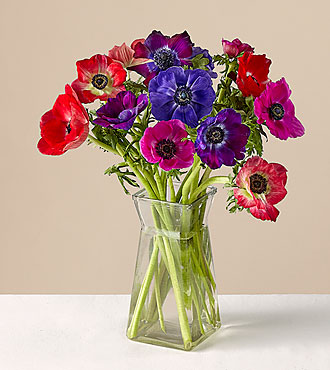Multicolored Anemone Bouquet - FedEx