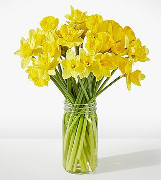 Yellow Gorgeous Daffodil Bouquet - 40 Stems with Clear Vase - FedEx - MDYL40