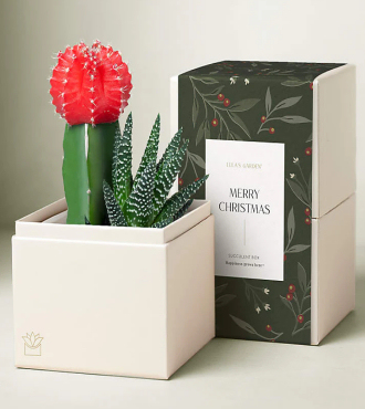 Lula's Garden - Christmas Petite Gardens - FedEx
