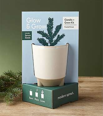 Glow and Grow Frosted Forest Kit - FedEx - MS2100C