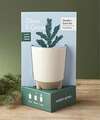 Image of Standard version for Glow and Grow Frosted Forest Kit - FedEx