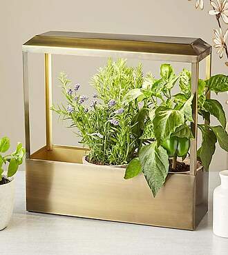 Brass Smart Growhouse - FedEx
