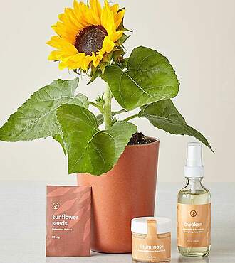 Shine Bright – Radiant Positivity Kit - FedEx