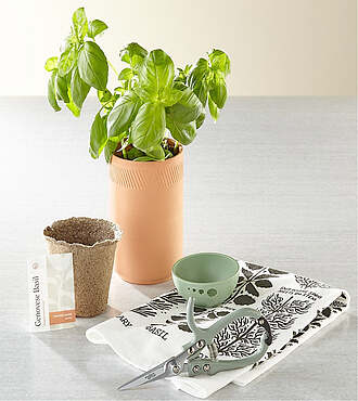 XXX Kitchen Harvest Tool Set - FedEx