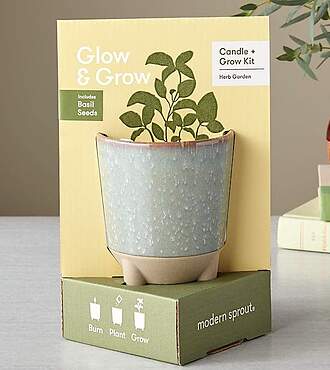 Glow and Grow Herb Garden - FedEx