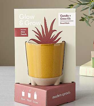 Glow and Grow Desert - FedEx