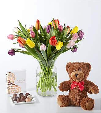 Deluxe Picnic Tulips Gift Set with Bear and Chocolate - FedEx