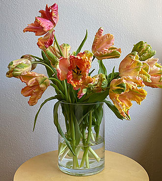 Specialty Tulip Mixed Bouquet + Vase - FedEx