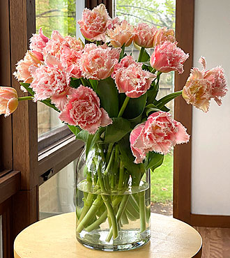 Specialty Tulip Spring Bouquet + Vase - FedEx