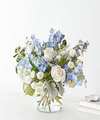 Image of Deluxe version for Clear Skies Bouquet