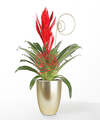 Image of Standard version for Red Christmas Bromeliad - FedEx