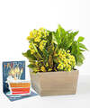Image of Standard version for Sunshine & Joy Garden & Birthday Pop Up Card - FedEx