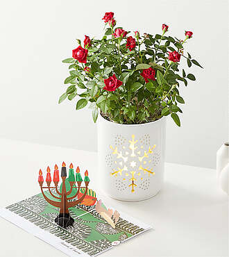 Red Mini Rose and Happy Kwanzaa Lovepop Pop - Up Card - FedEx